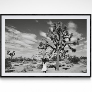 Joshua Tree National Park Photography Poster 