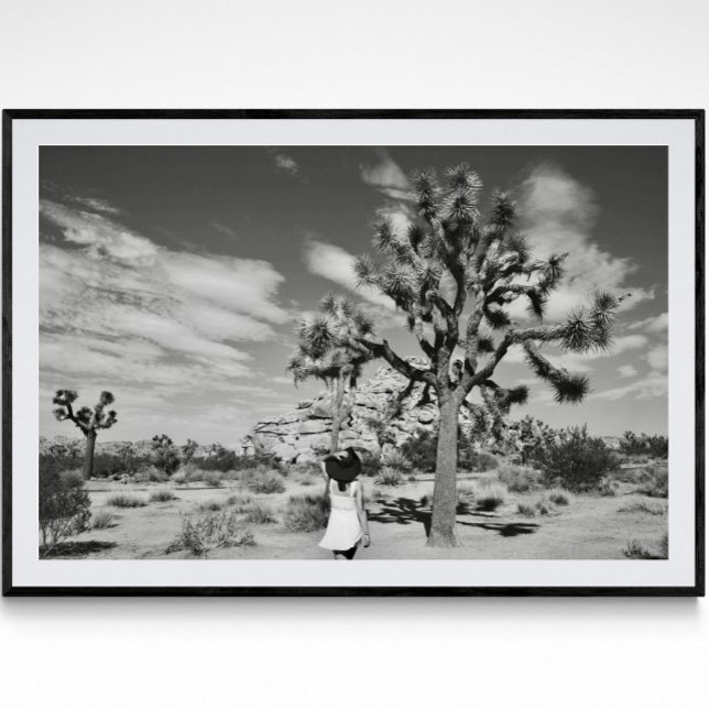 Joshua Tree National Park Photography Poster  (Creator Uploaded)