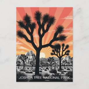 Joshua Tree National Park Postcard