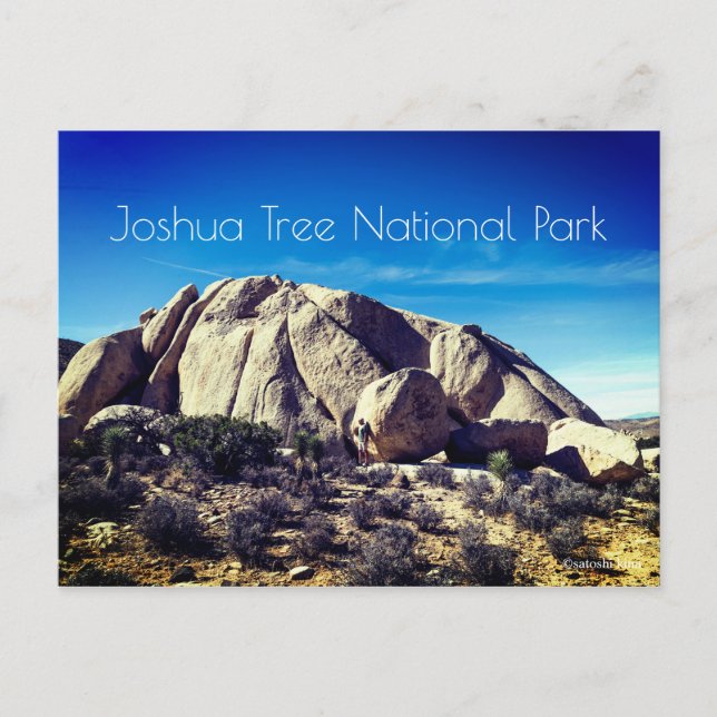 Joshua Tree National Park Postcard (Front)