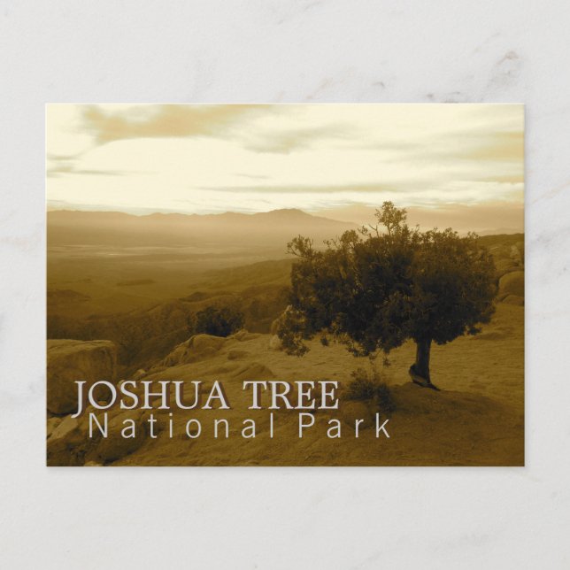 Joshua Tree National Park Postcard (Front)