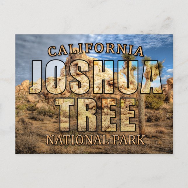 Joshua Tree National Park Postcard (Front)