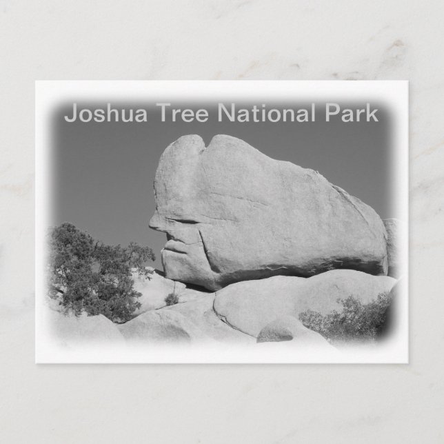 Joshua Tree National Park Postcard! Postcard (Front)
