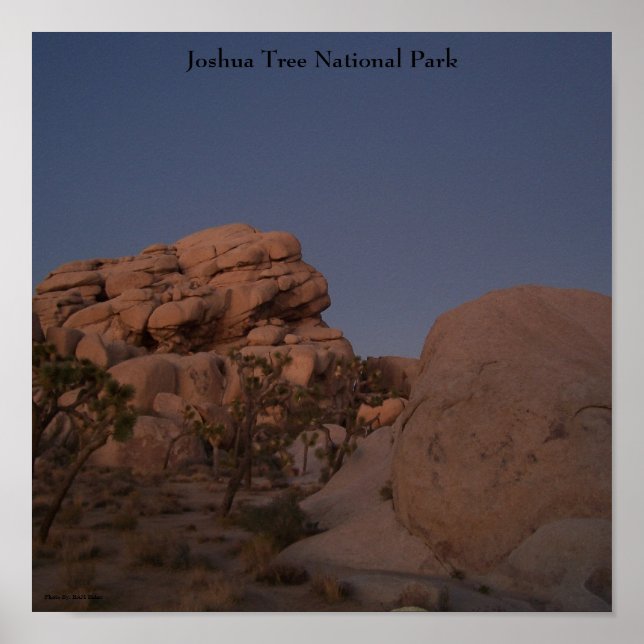 Joshua Tree National Park Poster (Front)