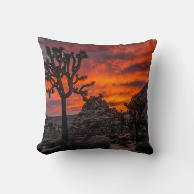 Joshua Tree National Park Red Sunset Cushion (Front)
