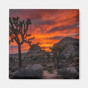 Joshua Tree National Park Red Sunset Magnet