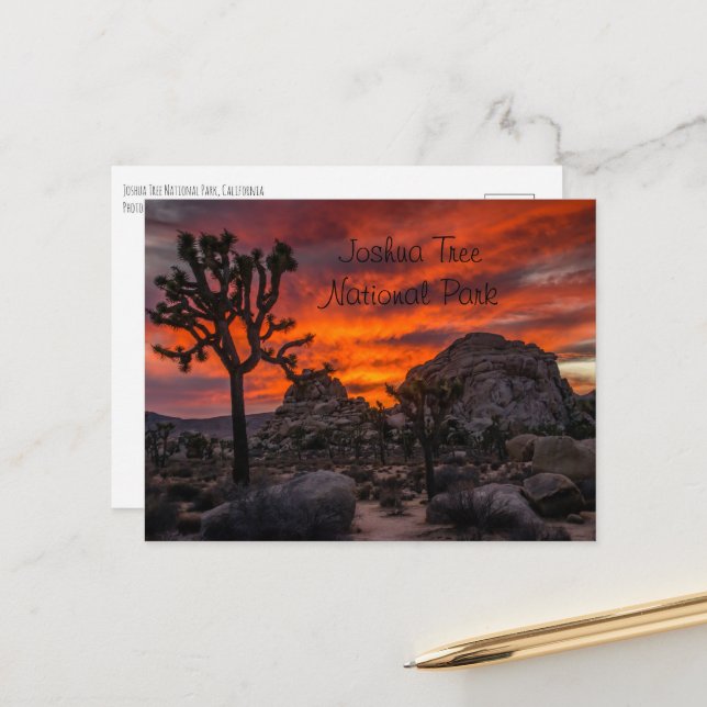 Joshua Tree National Park Red Sunset Postcard (Front/Back In Situ)