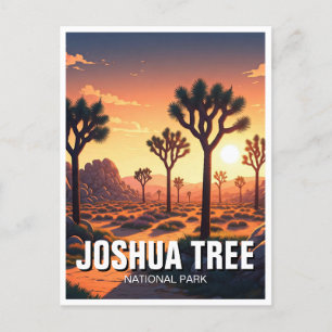 Joshua Tree National Park Souvenir Postcard