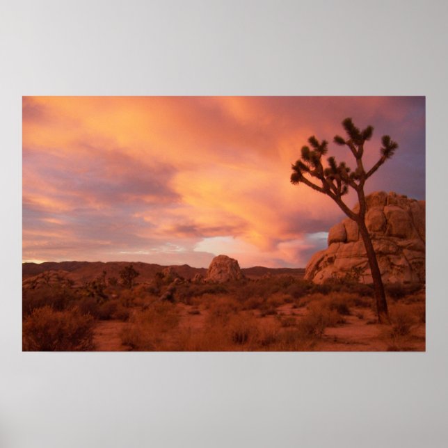 Joshua Tree National Park - Sunrise Poster (Front)