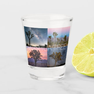 Joshua Tree National Park Sunset Night Landscape Shot Glass