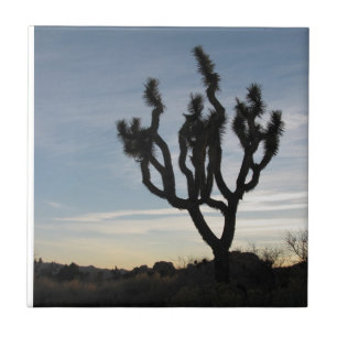 Joshua Tree National Park Tile