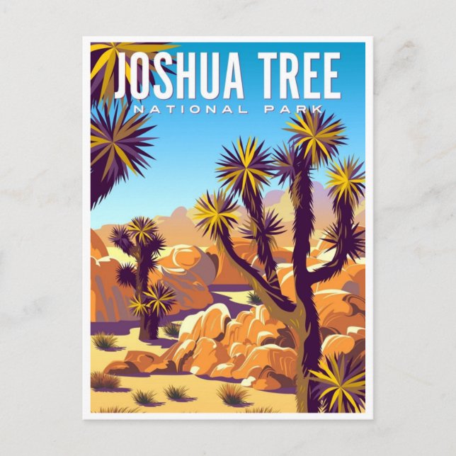 Joshua Tree National Park Tule Springs Vintage Postcard (Front)