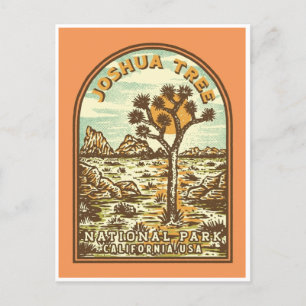 Joshua Tree National Park Tule Springs Vintage Postcard