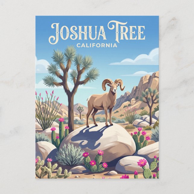 Joshua Tree National Park USA Postcard (Front)