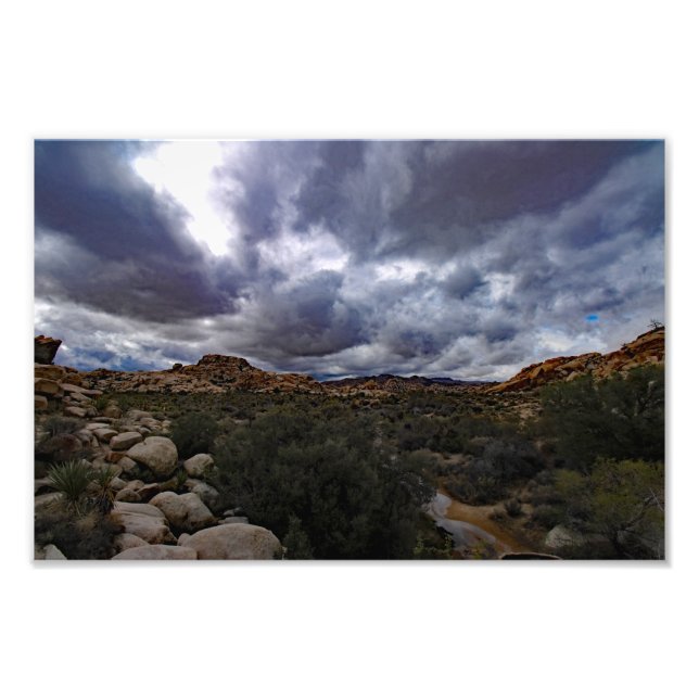Joshua Tree Photo Print (Front)