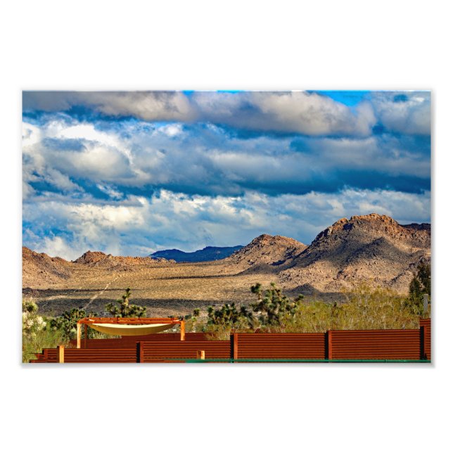 Joshua Tree Photo Print (Front)