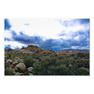 Joshua Tree Photo Print