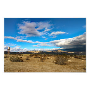 Joshua Tree Photo Print