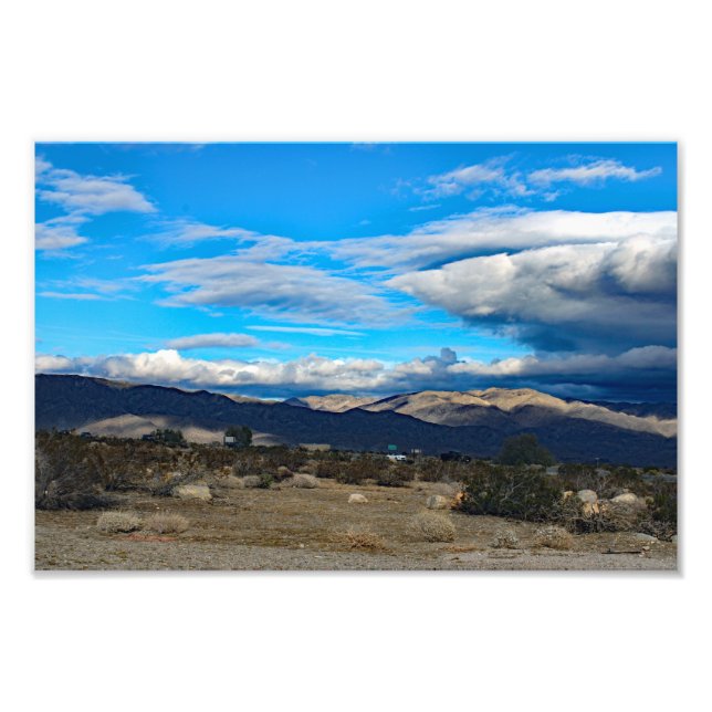 Joshua Tree Photo Print (Front)