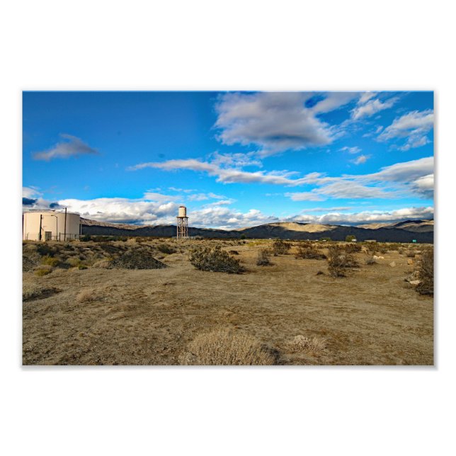 Joshua Tree Photo Print (Front)
