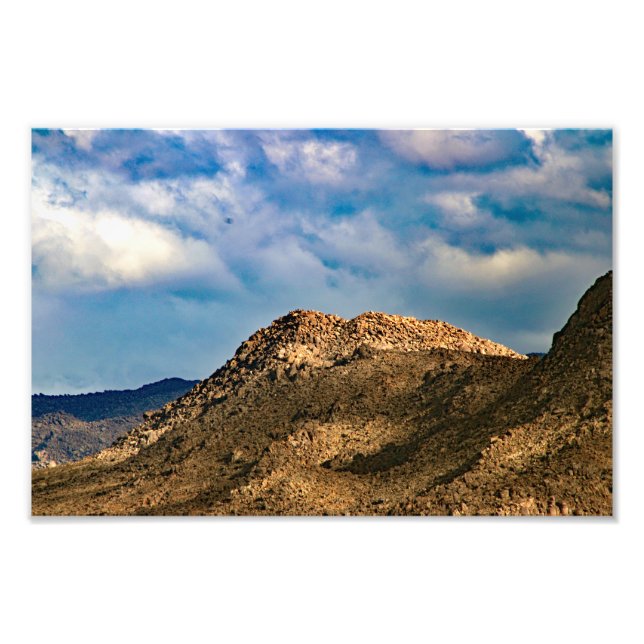 Joshua Tree Photo Print (Front)
