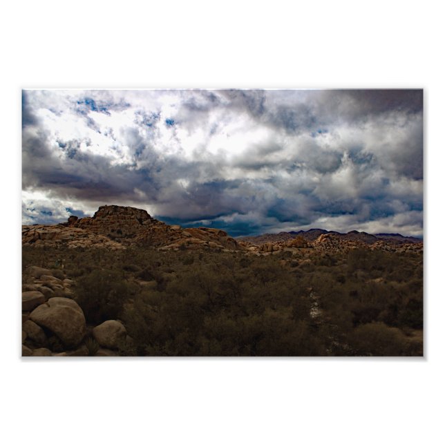 Joshua Tree Photo Print (Front)