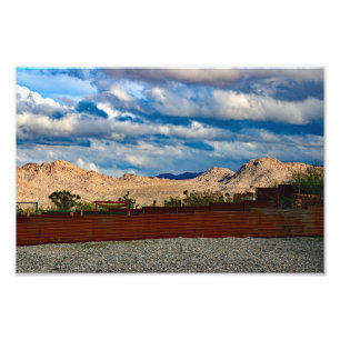 Joshua Tree  Photo Print