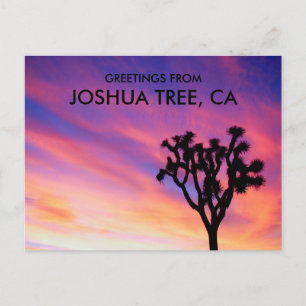 Joshua Tree Pink Sky Sunset Silhouette Greetings Postcard