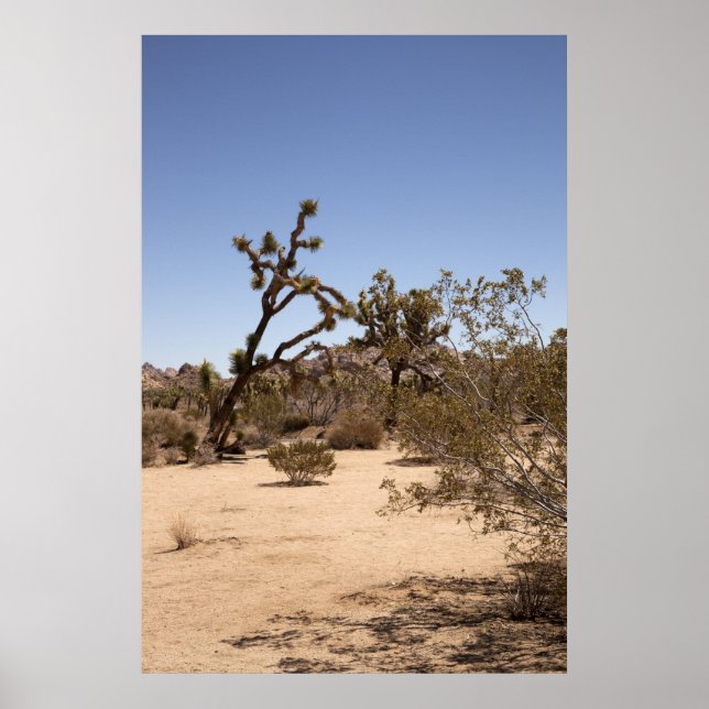Joshua Tree Poster (Front)