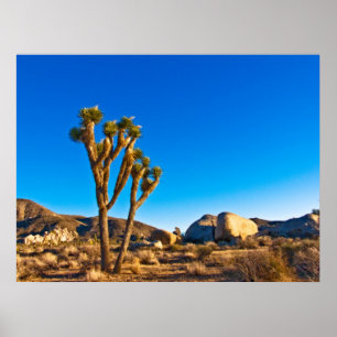 Joshua Tree Poster
