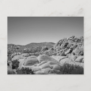 Joshua Tree Rocky Landscape - Photography Postcard