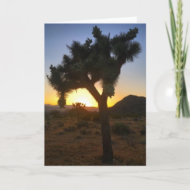 joshua tree sunset #3 greeting card (Front)