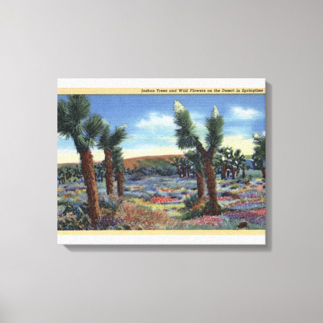 Joshua Trees and Desert Wild Flowers View Canvas Print (Front)