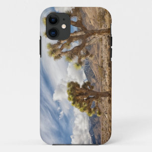 Joshua Trees in Desert iPhone 11 Case