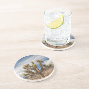 Joshua Trees in Desert Coaster