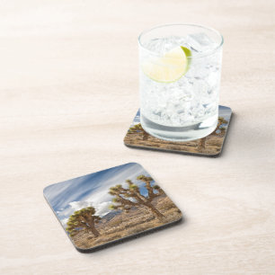 Joshua Trees in Desert Coaster