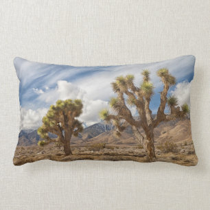 Joshua Trees in Desert Lumbar Cushion