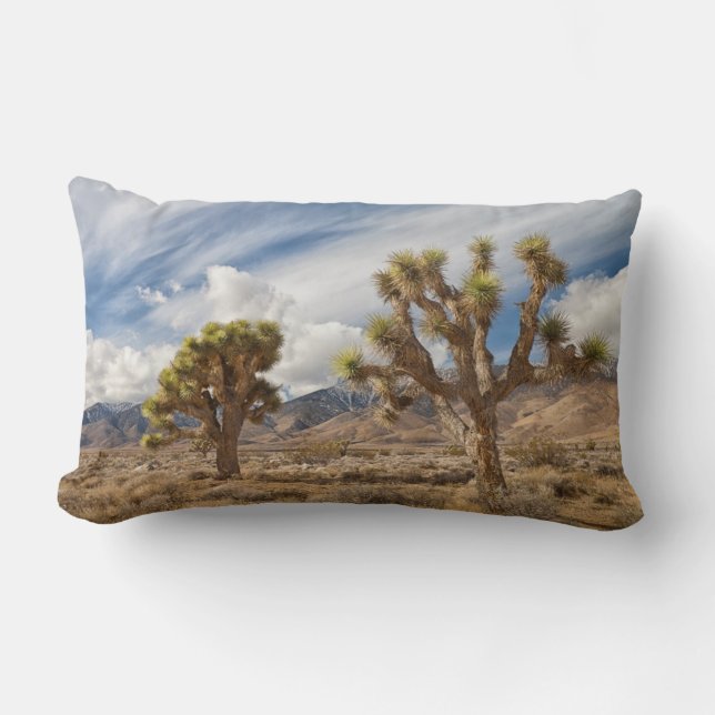 Joshua Trees in Desert Lumbar Cushion (Front)