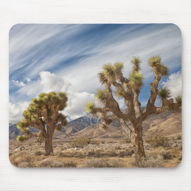 Joshua Trees in Desert Mouse Pad (Front)