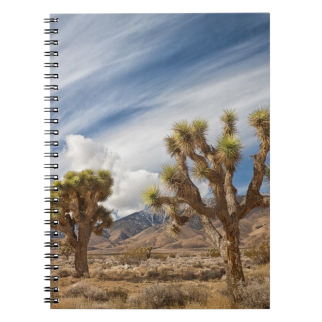Joshua Trees in Desert Spiral Notebook (Front)