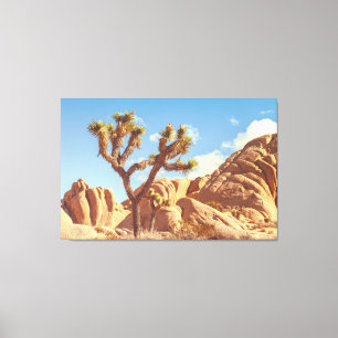 Joshua Trees Landscape with Rock Formations  Canvas Print