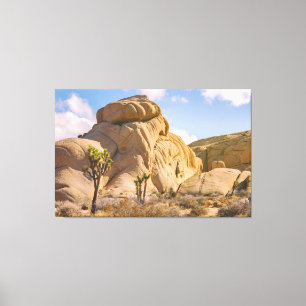 Joshua Trees National Park Landscape Canvas Print