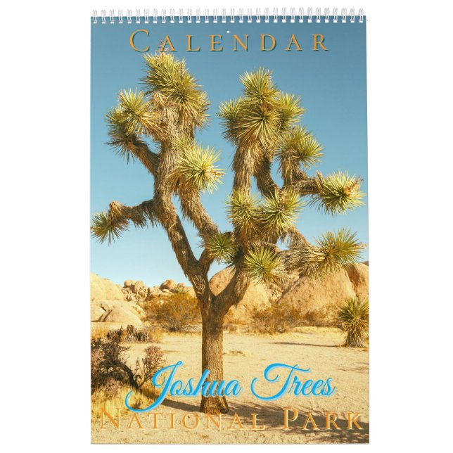 Joshua Trees National Park Landscapes Scenery Calendar (Cover)