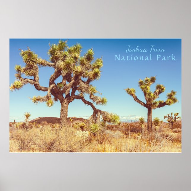 Joshua Trees National Park Poster (Front)