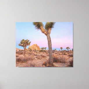 Joshua Trees Sunrise Canvas Print
