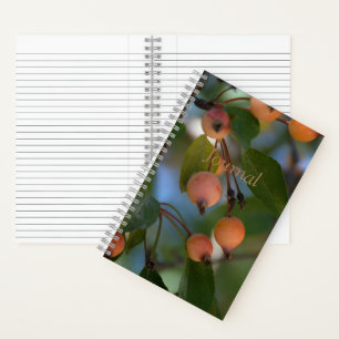 Journal - Autumn
