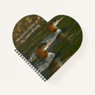 Journal with Merganser Ducks in the Adirondacks