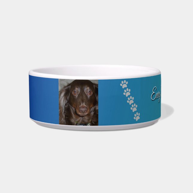 Journey of Pawprints Bowl (Front)