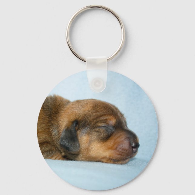 Jovi 1 wk-Lovebugdoxies Key Ring (Front)