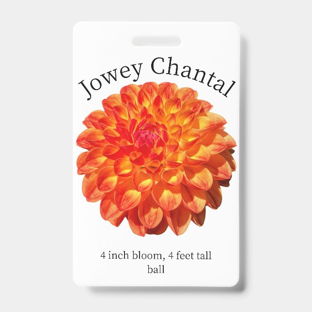 Jowey Chantal Dahlia ID Badge (Front)